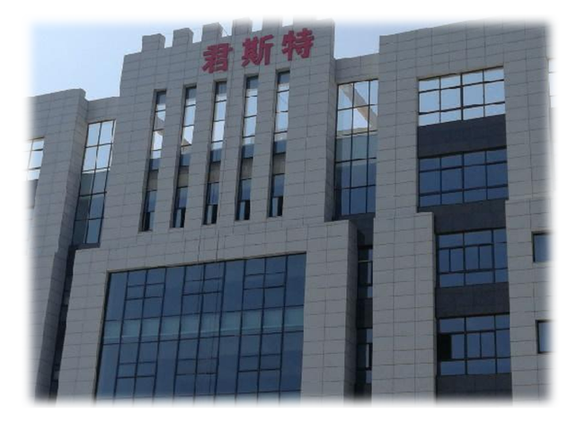 君斯特整体数字化转型方案